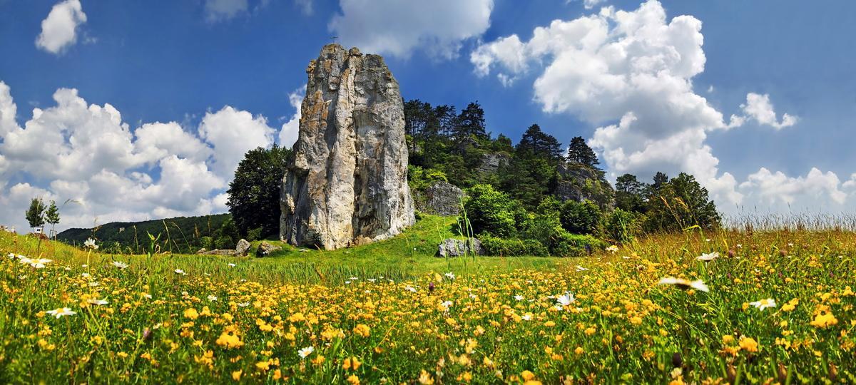 Hotel-Gasthof Zur Sonne Pappenheim Zewnętrze zdjęcie